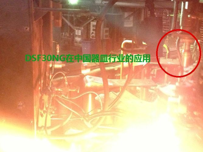 DSF30NG , DSF34NG�ڲ����ИI(y��)